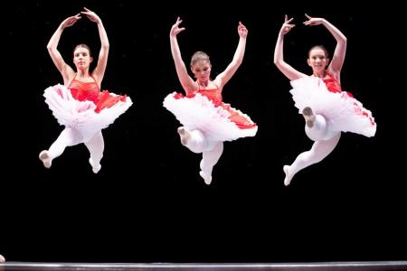 Vrtnice, foto V.Leban